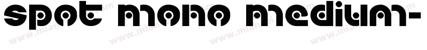 Spot Mono Medium字体转换